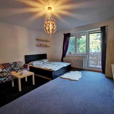 Cely Apartman Podlesi 54M2 S Dvema Balkony A S Novou Manzelskou Posteli, Zatim Neni Na Fotkach Apartamento Brno Exterior foto